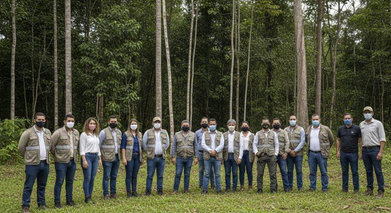 Aerial view of deforestation in the Brazilian Amazon with clear-cut patches and new saplings.