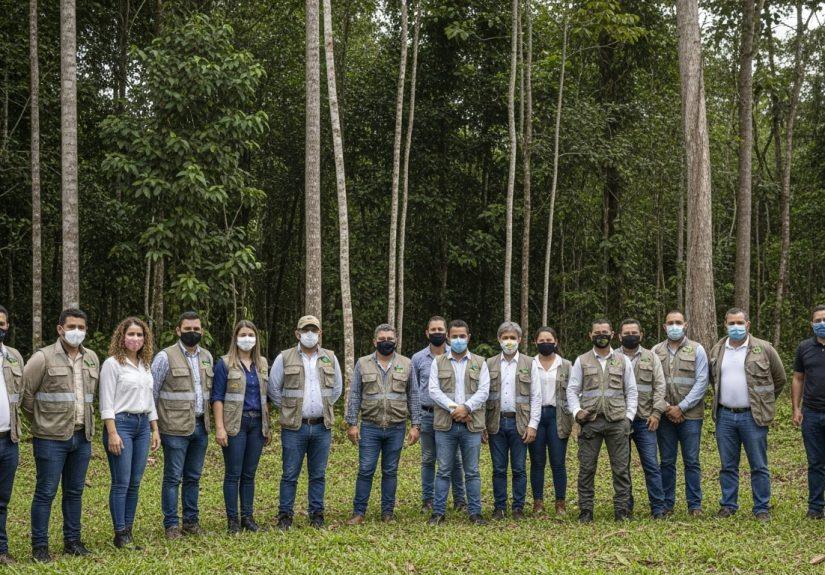 Aerial view of deforestation in the Brazilian Amazon with clear-cut patches and new saplings.